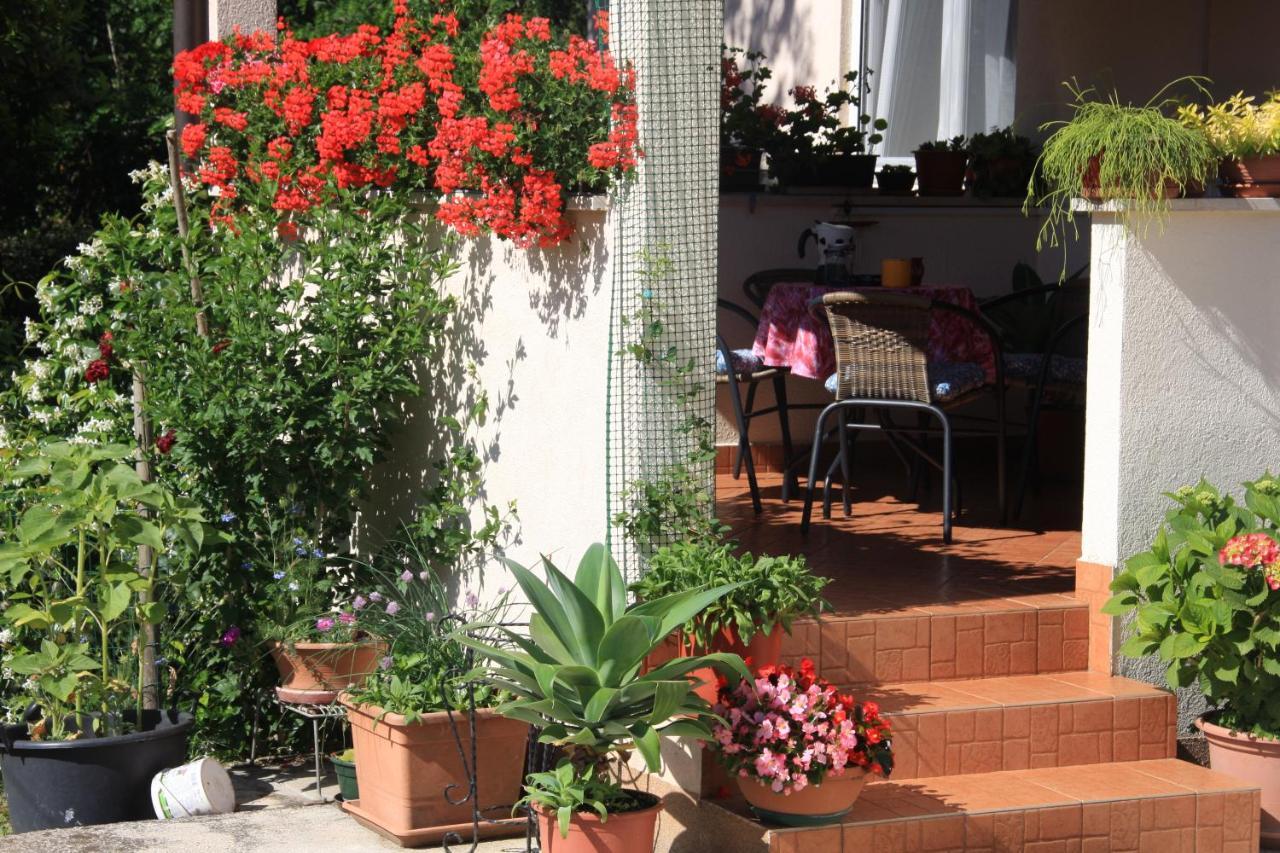 Apartman Rino Bašanija 외부 사진