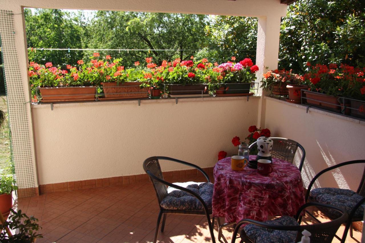 Apartman Rino Bašanija 외부 사진
