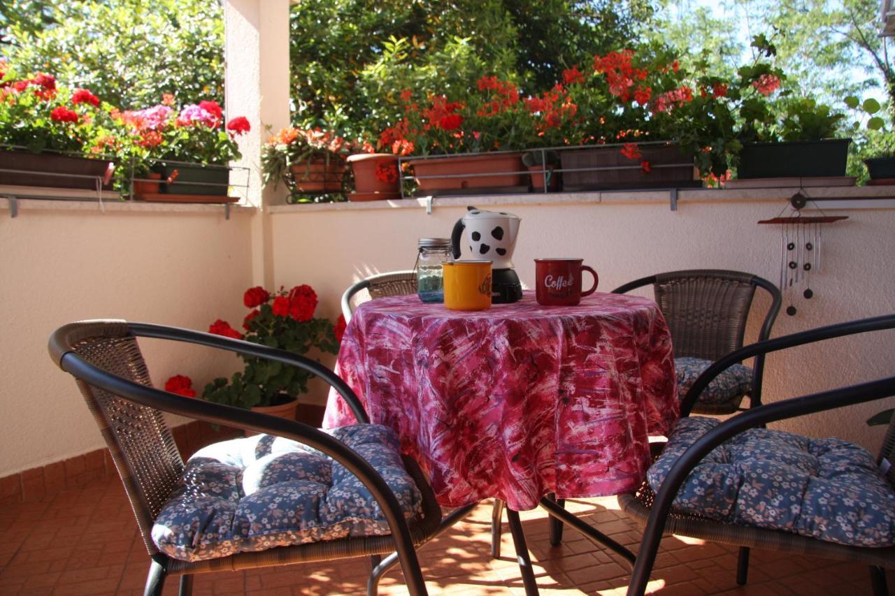 Apartman Rino Bašanija 외부 사진